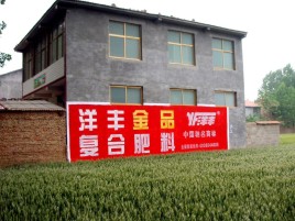 株洲如何让墙体广告展现最大化效果