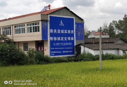 株洲决定墙体广告价格的因素有哪些？