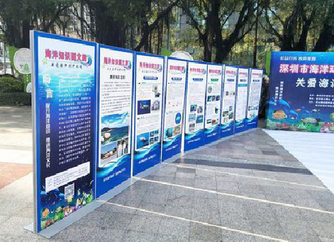 株洲KT板的种类和知识。